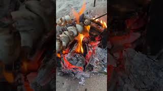 ASMR roasting mushrooms on a fire