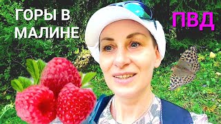 ПВД в горы⛰️ Малиновый рай😍 Бутаковское ущелье. Алматы❤️