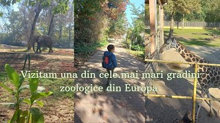 Vizitam una din cele mai mari grădini zoologice din Europa - Sòstò Zoo - Ungaria