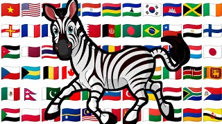 ZEBRA name in different languages with Voice | Animals name