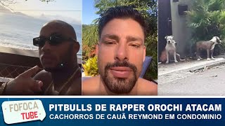 Pitbulls de rapper Orochi atacam cachorros de Cauã Reymond em condomínio de luxo no Rio