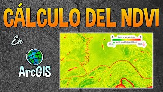 NDVI en ArcGIS - 2021