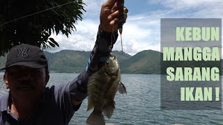 Mancing di Kebun Pinggir Danau