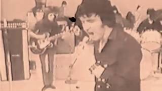 THE COLLECTORS - Sheep On The Hillside (video - 1968)