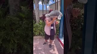 Pass Member Manatee Plush Day at SeaWorld Orlando #seaworld #shorts #disney #aquarium #giveaway