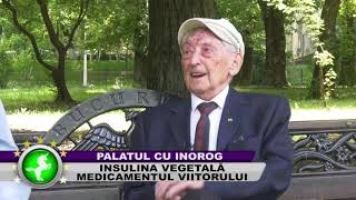 Tratament diabet cu Insuveg Forte, insulina vegetala. Dr. Acad. Ovidiu Bojor