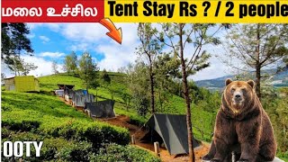 ✅️ Thrilling Budget tent stay in ooty !! JFR Campsite Ooty - with @naadodiram