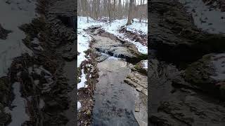 Baby Waterfall #Nature #takeahike #trails #hellshollow #mcconnellsmills