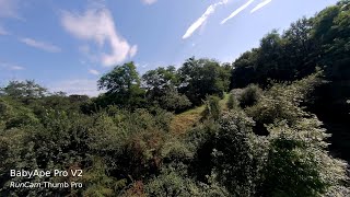 Cinematic FPV - Drone flight in the forest of the spoil tip of Batterie-Ancien in Liège, Belgium