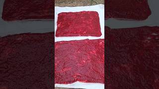 easy way to make fruit leather #short #fruit