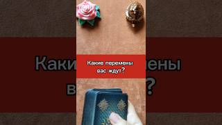 Какие перемены вас ждут? #таро #расклад #раскладтаро #тароонлайн #таролог