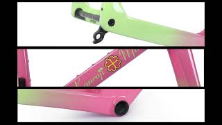 Cutsom paint show on ICAN A9 disc road bike frame