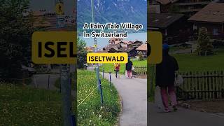 Iseltwald, Switzerland travel vlog #Shorts #nature #beauty #swissnature