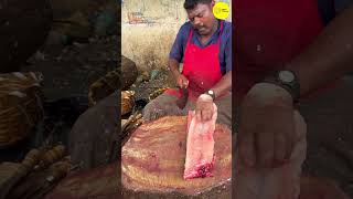 KASIMEDU SPEED SELVAM FISH CUTTING VIDEO / cutting focus #kasimeduselvam #bigfishcutting