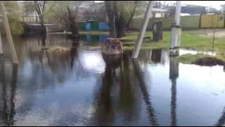 Труба  VID20130425_162517