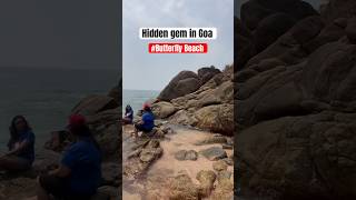 Don’t miss this place if you are in Goa #butterflybeach #goa #beachlife #hiddengems #ytshorts