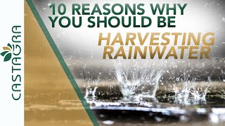 10 Reasons Why You Should Be Harvesting Rainwater (For Your Home Or Business)