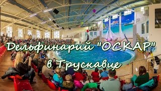 Дельфинарий "Оскар" Трускавец