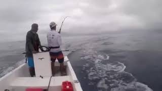 Turneffe atoll wahoo fishing