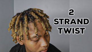 Two Strand Twist