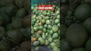 Fresh coconut #coconut #freshcoconut #trending #viral #shorts