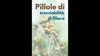 Pillole di Caffè - La filiera e la sostenibiità 1