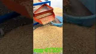 Video of corn screening machine/grain cleaning machine for remove grain dust and husk