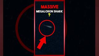 Massive Megalodon Shark 🦈😱