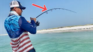 Sight Casting at HUNDREDS of REDFISH on Destin BEACH!