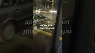 дорогу осилит долгоживущий