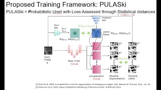 Exploiting the inter-rater disagreement to improve probabilistic segmentation