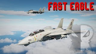 Fast Eagle - DCS F-14A Skin pack