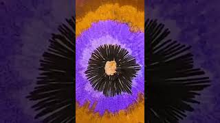 Crayon and Ink Mixed Media Stop Motion Abstract Animation #animationtechnique #abstractanimation