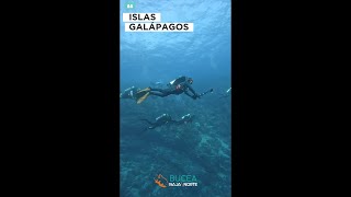 Viaje a Islas Galápagos 2023