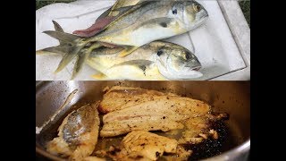 Jack Crevalle Catch and Cook/Mayan Cichlid PB