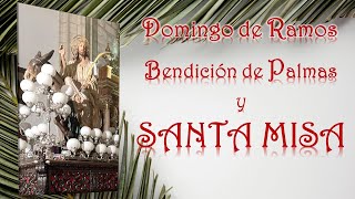 Bendición de Palmas y Santa Misa,  Domingo de Ramos, 24/03/2024