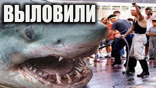 МУРАШКИ ПО КОЖЕ! Рыбаки выловили НЕЧТО, и решили ЭТО скрыть / 2022 Док спецпроект