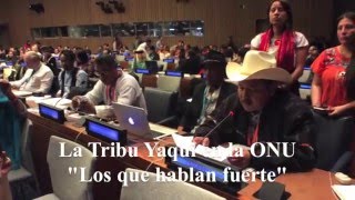 La Tribu Yaqui en la ONU