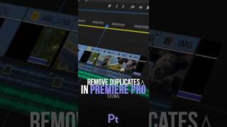 Prevent Duplicate Footage in Premiere Pro