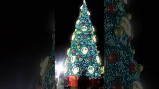 Christmas Tree | Global Village | Pakistan Pavilion | Dubai December 2022 | Life on Wheels