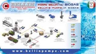 Video biogas