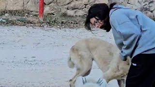 Zümraya çok sırnaşma dedim ama beni dinlemeyince olanlar oldu