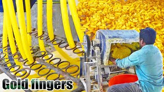 Delicious "Gold Finger Snacks" making Machine Huge Finger Fryums Raw Gottalu | Small Scale Industry