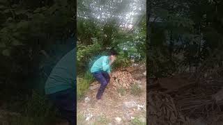 Man VS Wild mini version#Episode 4#shorts