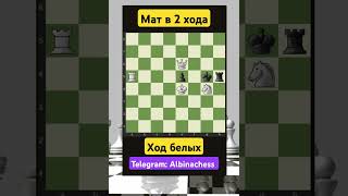 Telegram: Albinachess #chess #шахматы #chorts