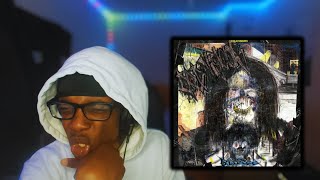 Am I Draingang Now? - Bladee - Cold Visons - Album Reaction