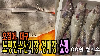 노량진수산시장 경매장 쇼핑★제철저렴한 수산물소개(오징어,대구)