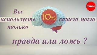 Какой процент вашего мозга вы используете? - Ричард Э. Цитович (TED-Ed на русском)