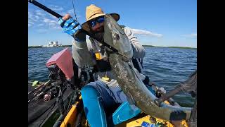 Pesca de barracudas ( homestead Bayfront Park ) Otra mas de Los Monsters squad