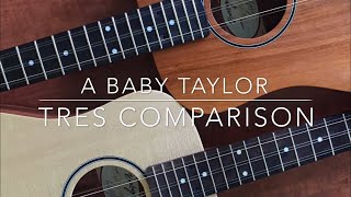 Baby Taylor Tres Cubano Comparison: The Spruce BT1 vs The Tropical Mahogany BT2 TresKits.com